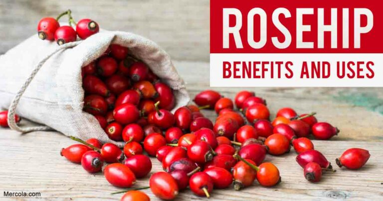 Rosehip