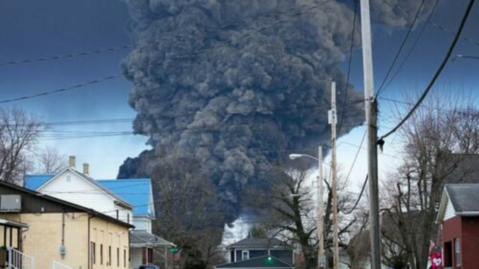 Animals dying across Ohio state parks after East Palestine train derailment