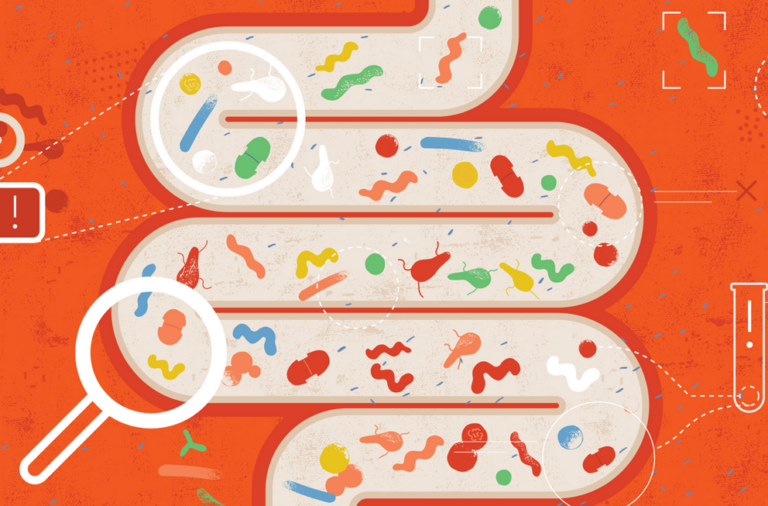 Gut microbes can boost the motivation to exercise