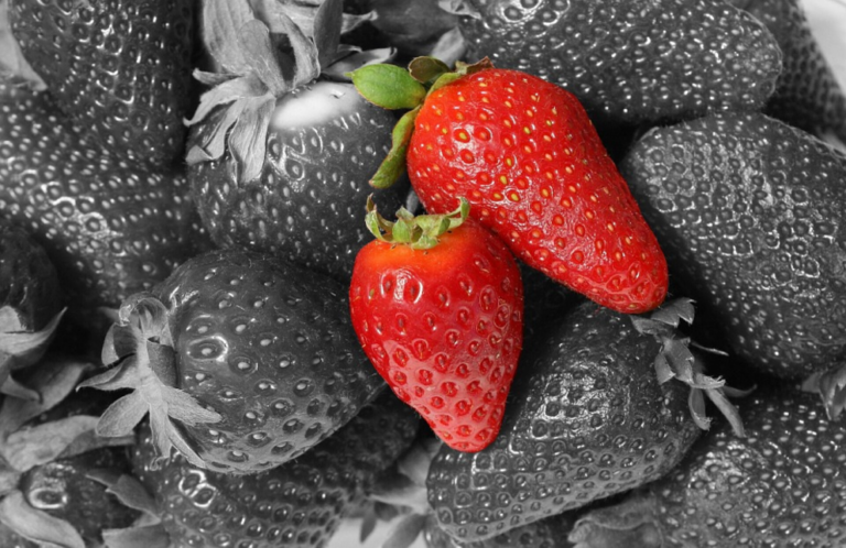 Pesticides may be creating bland, less nutritious strawberries