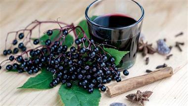 Daily Elderberry Juice Spurs Microbiome Boost