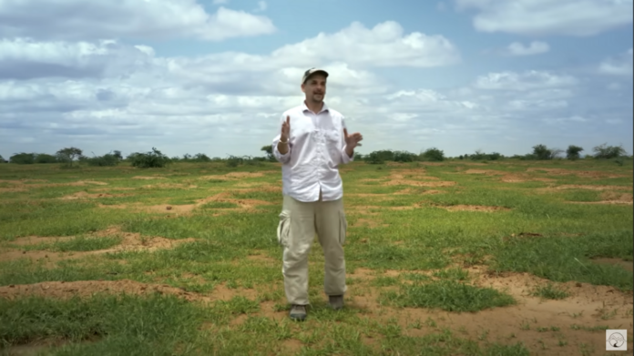 The Green Wall: astonishing giant project to reclaim the desert and make new life