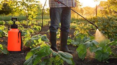 Is Pesticide Exposure Putting Your Child at Risk?