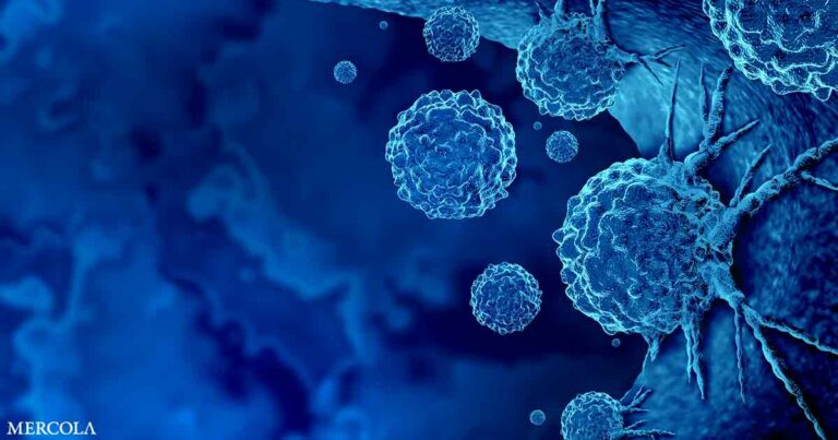 Common Energy Drink Ingredient May Fuel Blood Cancer, Study Finds