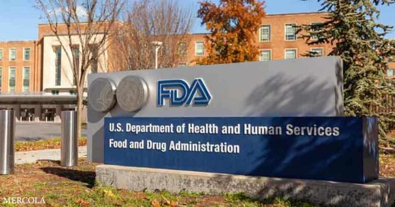 Deadly Contamination Risk Prompts Major Tomato Recall