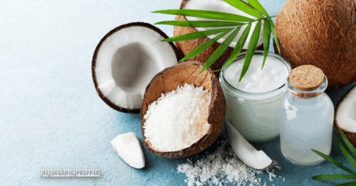 Prepping gold: gone nuts for coconuts!