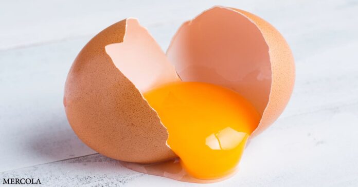 Salmonella Outbreak Prompts Egg Recall in 9 States