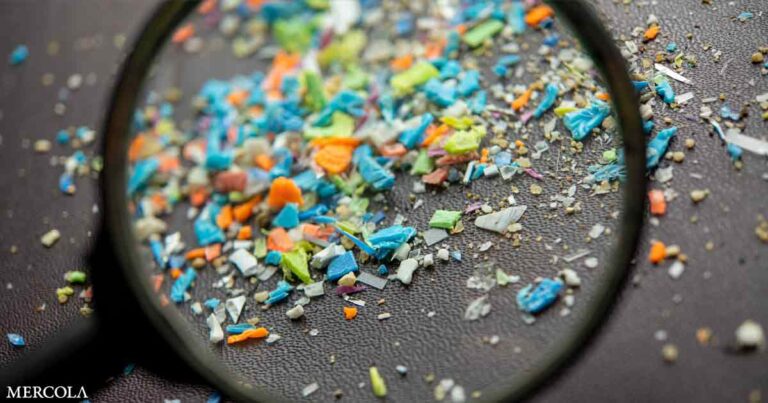 Plastic Chemicals Linger Longer in Kids with Autism and ADHD, Researchers Warn