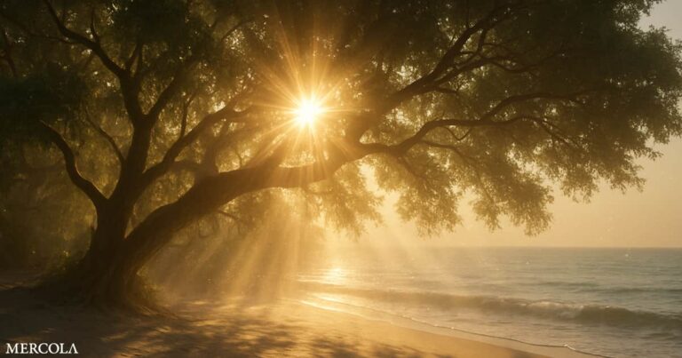 Extreme Heat May Speed Up Aging in Older Adults