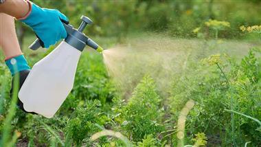 Pesticide Exposure in Pregnancy Tied to Lasting Brain Damage in Children